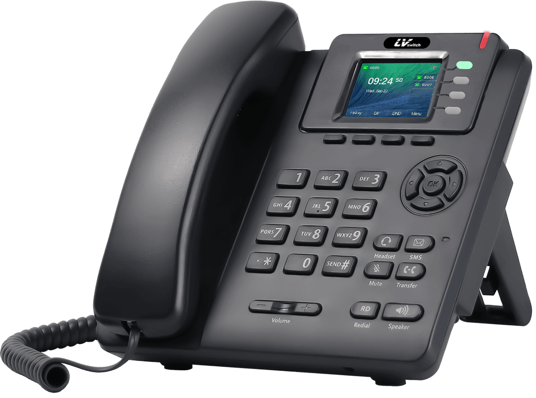 Professional VoIP desk phone